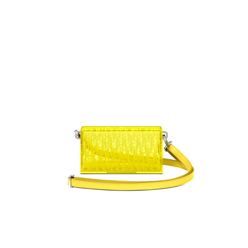 DIOR Oblique Plexiglass Bag | CRIS&COCO Authentic Quality Luxury