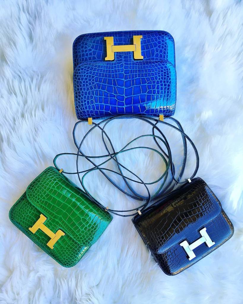 Unveiling the Constance Bag’s Charm and Quirks!