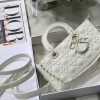 DIOR Lady D-Joy Bag.