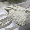 DIOR Lady D-Joy Bag.