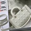 DIOR Lady D-Joy Bag.