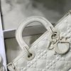 DIOR Lady D-Joy Bag.