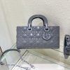 DIOR Lady D-Joy Bag.