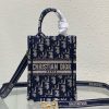 DIOR Mini Book Tote Phone Bag.