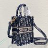 DIOR Mini Book Tote Phone Bag.
