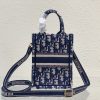 DIOR Mini Book Tote Phone Bag.