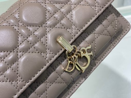 DIOR Lady Dior Chain Pouch.