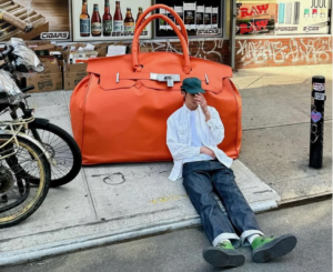 A HERMÈS Birkin fully aware it’s a status symbol first, a handbag second